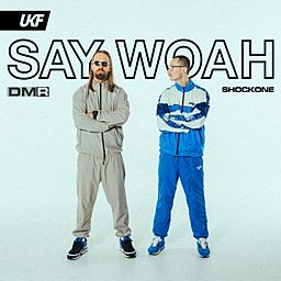 ShockOne