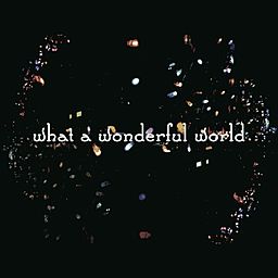 What A Wonderful World - Salyu × 小林武史