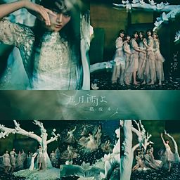 五月雨よ (Special Edition) - 櫻坂46