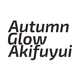 Quiet Junk - Autumn Glow Akifuyui