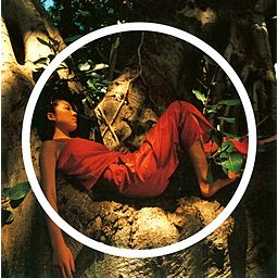 Mother Father Brother Sister - MISIA